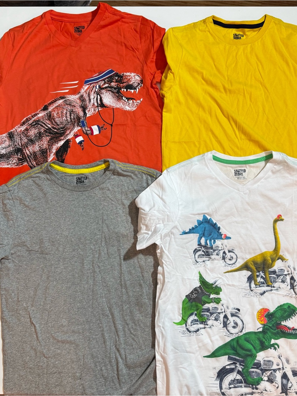 Spotted zebra Kids Dino Graphic Short Sleeve Tees